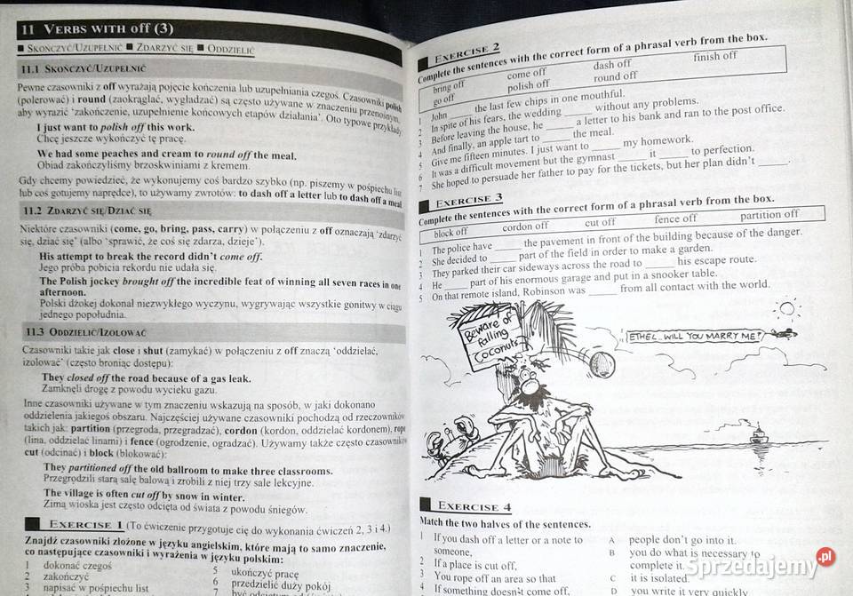 Gramatyka języka angielskiego M Foley DHall Chełm