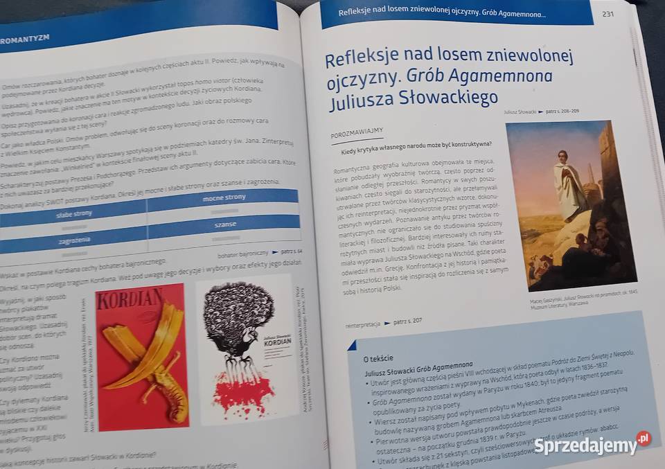 Język polski 2 Sztuka wyrazu Cz 1 Romantyzm miękka wielkopolskie Koźminek