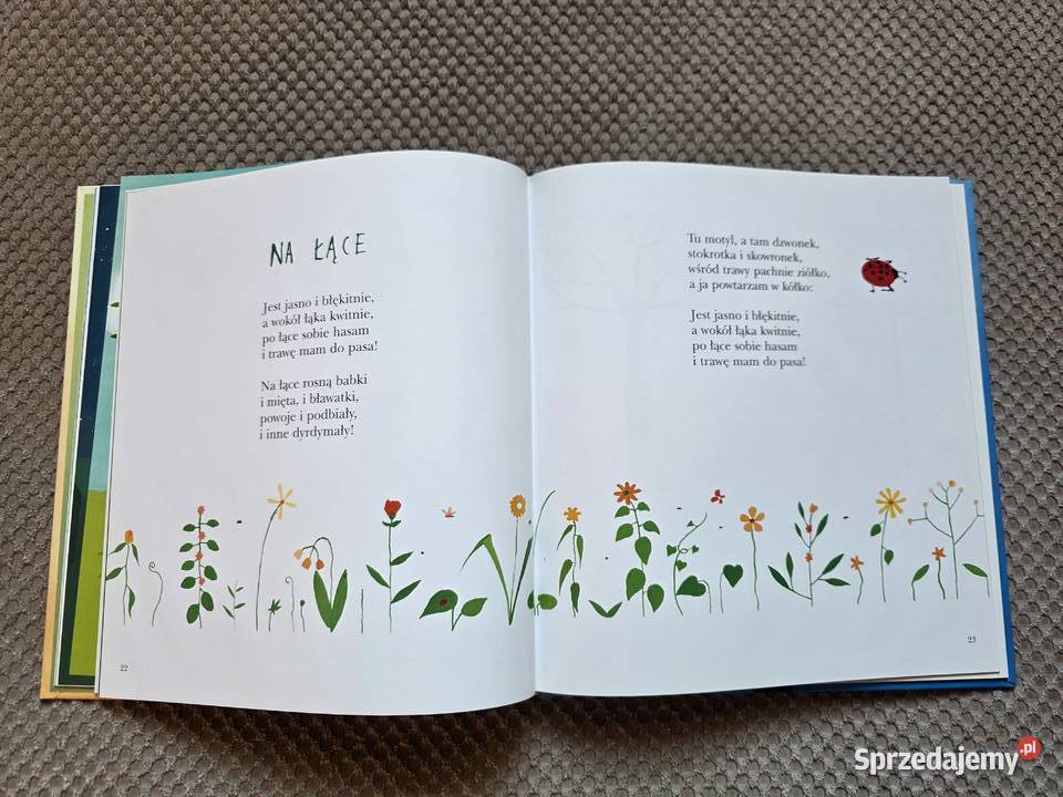 Zielony Żółty Rudy Brązowy Małgorzata Kraków sprzedam