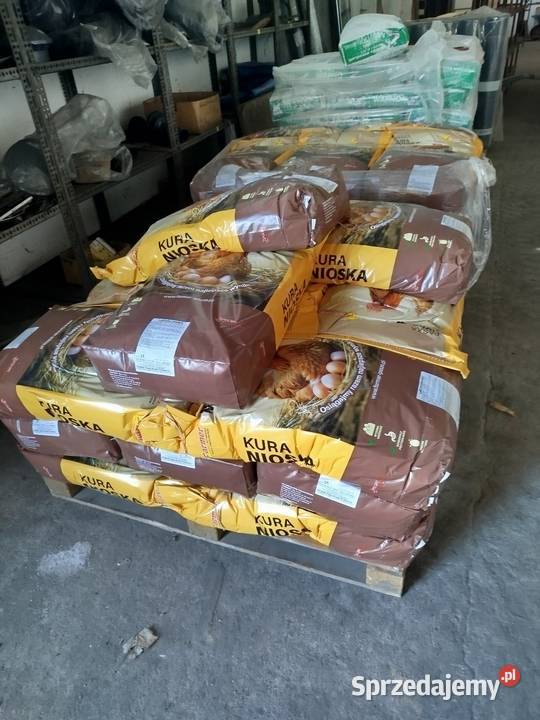 Sprzedaż paszy Karmy i pasze Iława