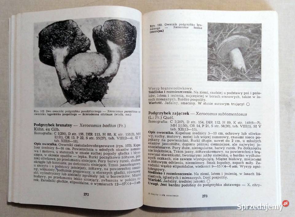 Grzyby i ich oznaczanie 1988 r Pozostałe Włodawa
