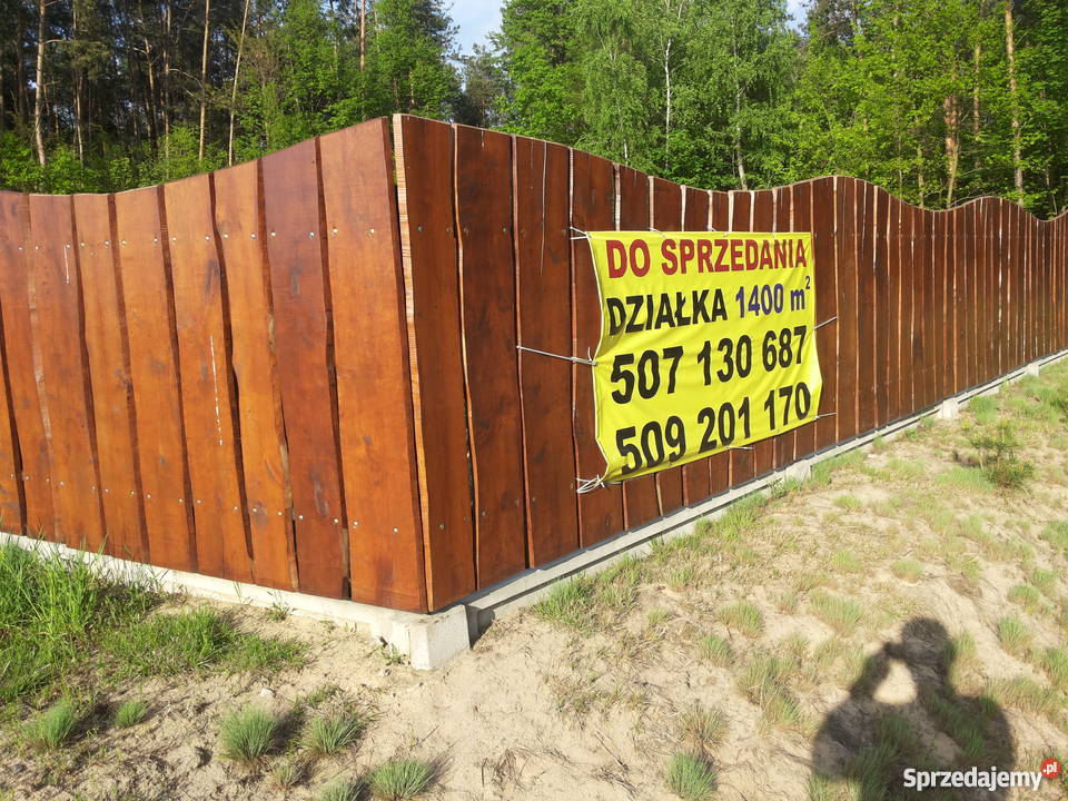 Działka lesie