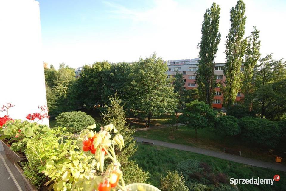 2pok 45met Magnolii ROZKŁADBALKONPIWNICA Wrocław