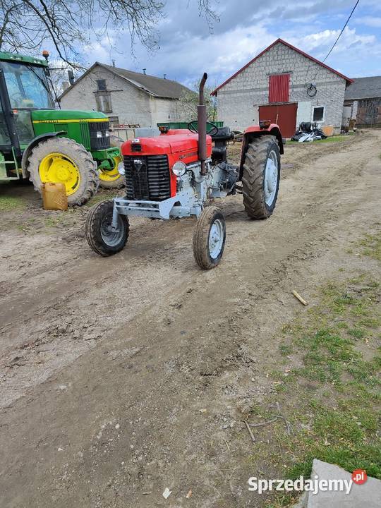 Posiadam na sprzedaż Massey Ferguson 65 Niemirki