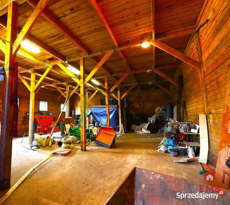 Do sprzedaży lokal Mołowiste 2650m2 handlowo-usługowy Sprzedaż sprzedam