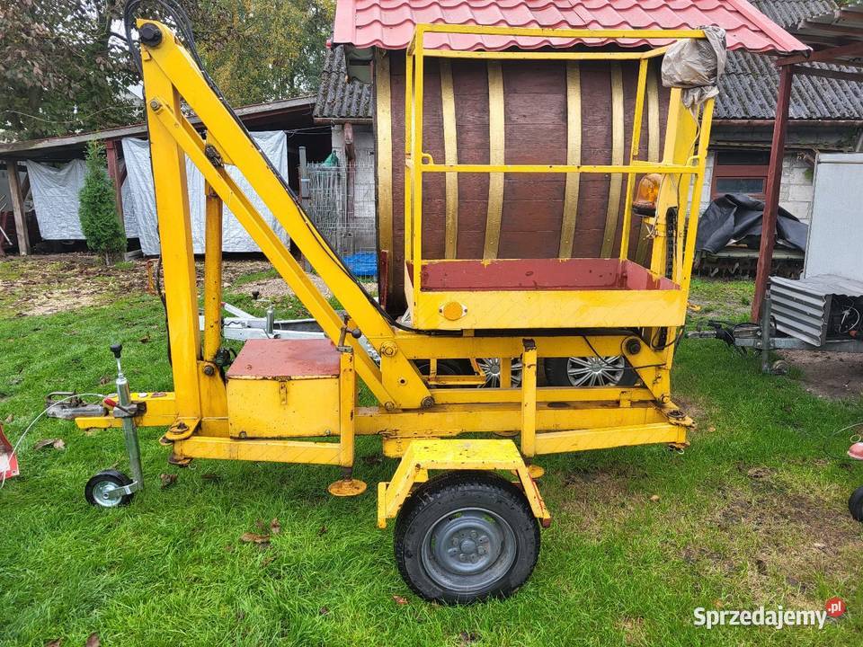 Zwyzka na przyczepie Włoszczowa sprzedam