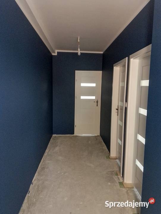 Wynajem minikoparki usługi remontowe