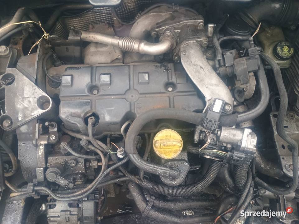 Silnik 19DCi 130 Renault Scenic 2 Megane Laguna osobowe Silniki kompletne Tychy