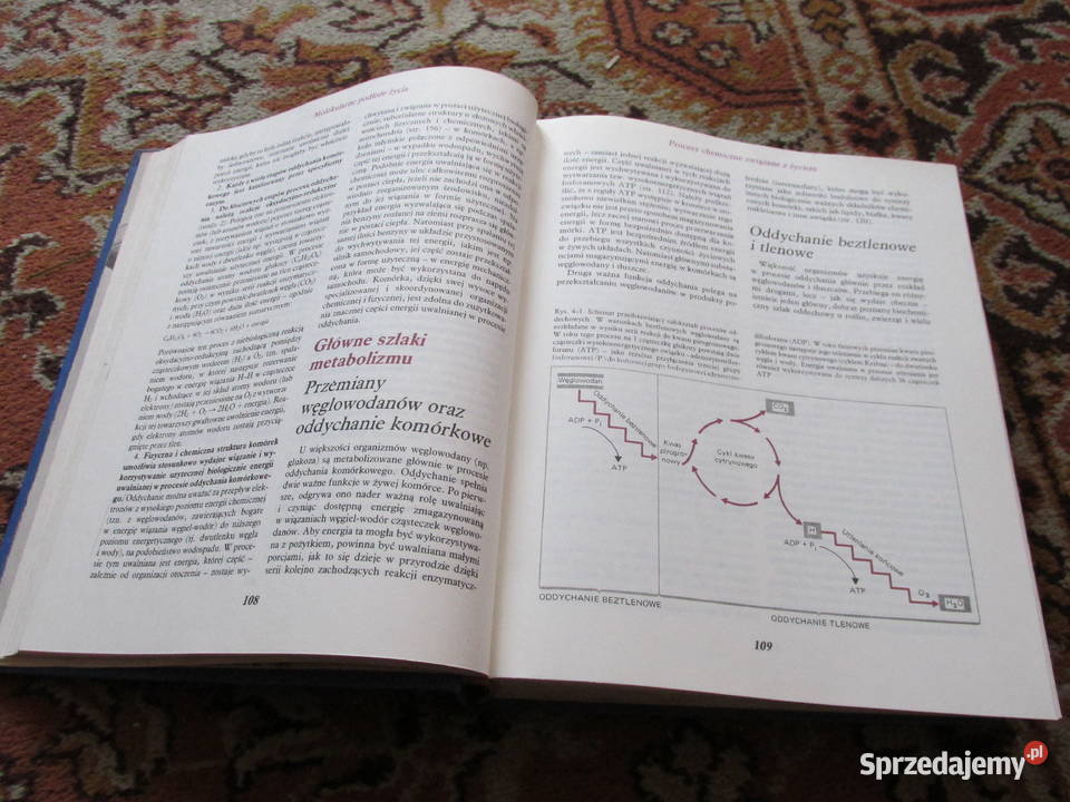 ŚWIAT BIOLOGII Rok wydania 1987 śląskie Bytom