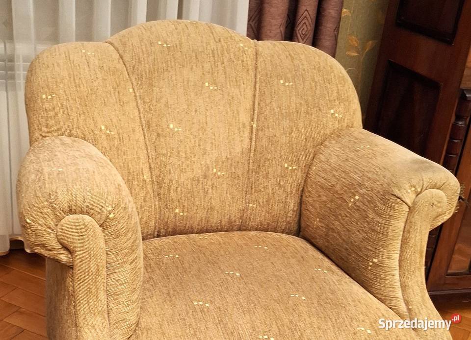 Dwa Stare Klubowe Fotele Gliwice