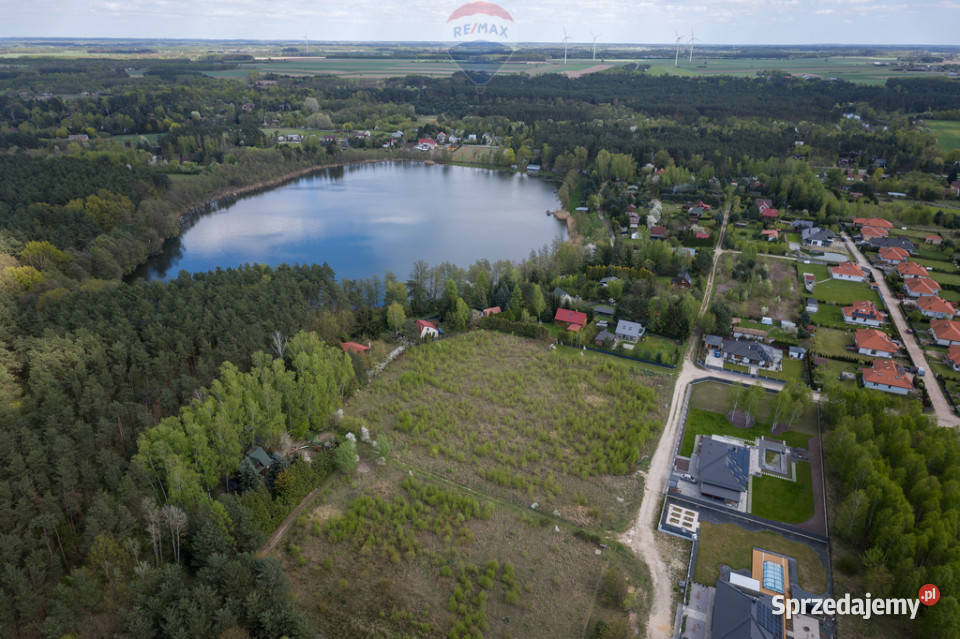 Działka budowlana z prywatnym lasem w Błędowie Sprzedaż mazowieckie Błędowo