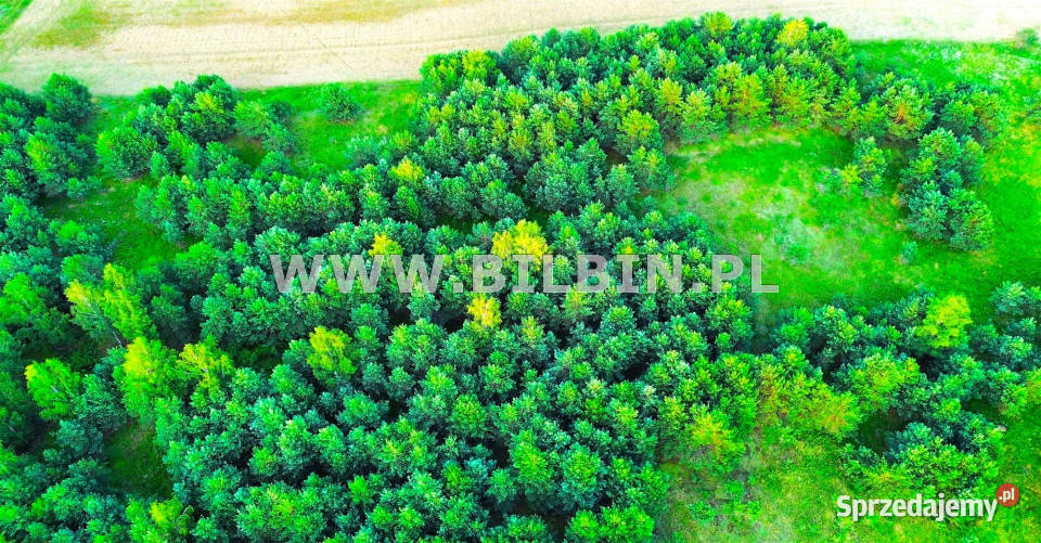 sprzedaży działki 20480m2 Garbas Pierwszy podlaskie