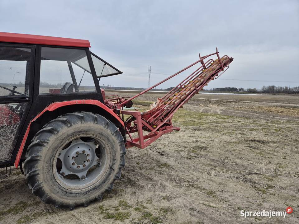 Podajnik Taśmociąg do Zbioru Warzyw Maszyny rolnicze Brzozów Stary sprzedam