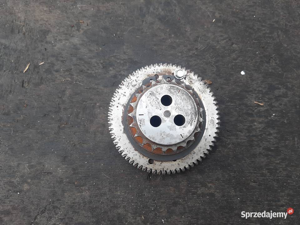 Opel OE 55493438 koło zębate łańcucha rozrządu Syców
