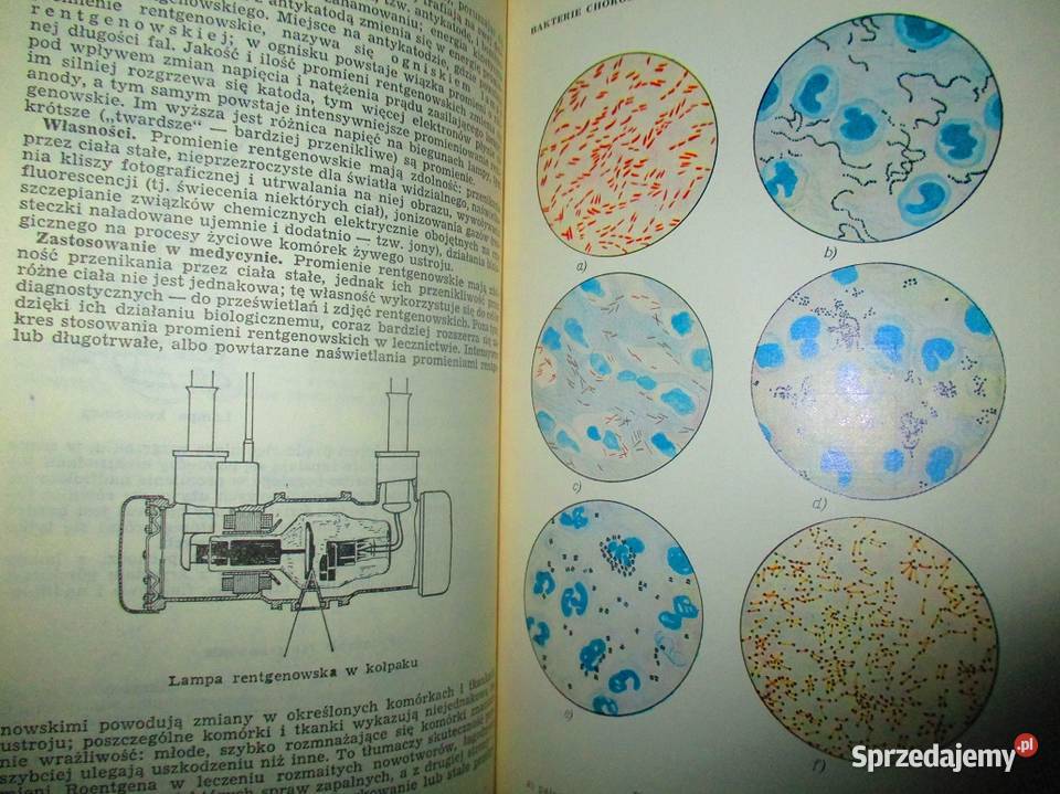 Mała encyklopedia zdrowia medycyna zdrowie medycyna, nauki medyczne Łódź