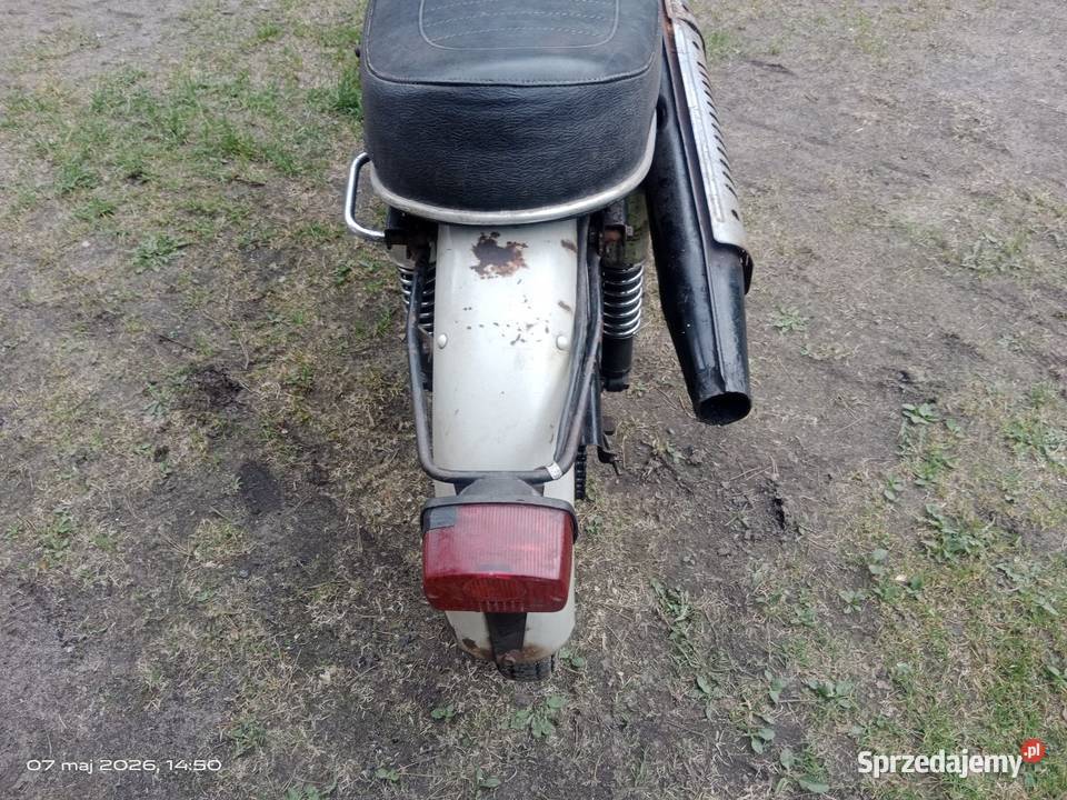 Wsk lelek 76 dudek bąk gil oryginał