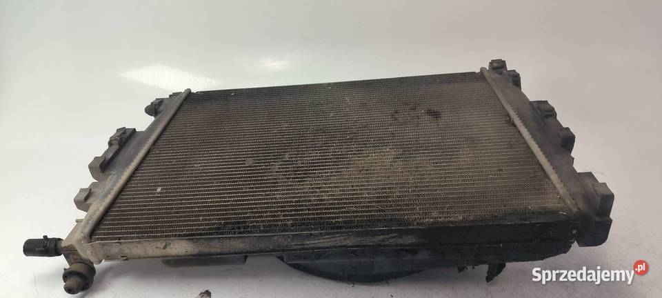 CHŁODNICA WODY RENAULT SCENIC II 8200151465 kujawsko-pomorskie Lipno sprzedam