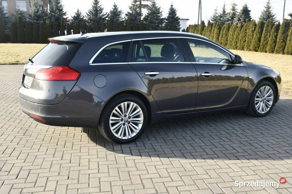 Opel Insignia 20D DUDKI11 łódzkie Kutno sprzedam