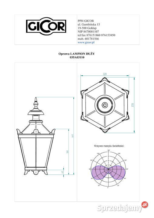 Lampa G I 1xGłowica H 3000mm Gołdap