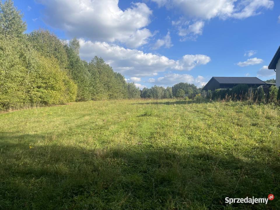 Działka rolno budowlana 4000 m2 Galezice Gałęzice sprzedam