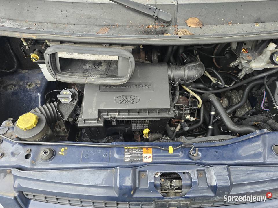 2010 Forg Transit 9osobowy Katowice