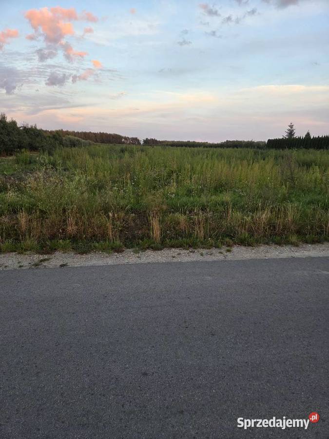 Działka 12800 m2 rolno budowlana Karolew Pniewy