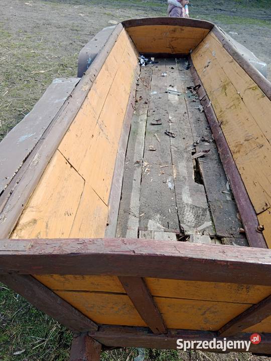 Wasąng kony Krasnystaw