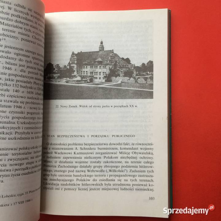 2196 Płoty zachodniopomorskie Szczecin sprzedam