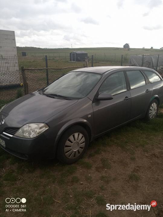 Nissan Primera P12 kombi 4/5 Skwierzyna