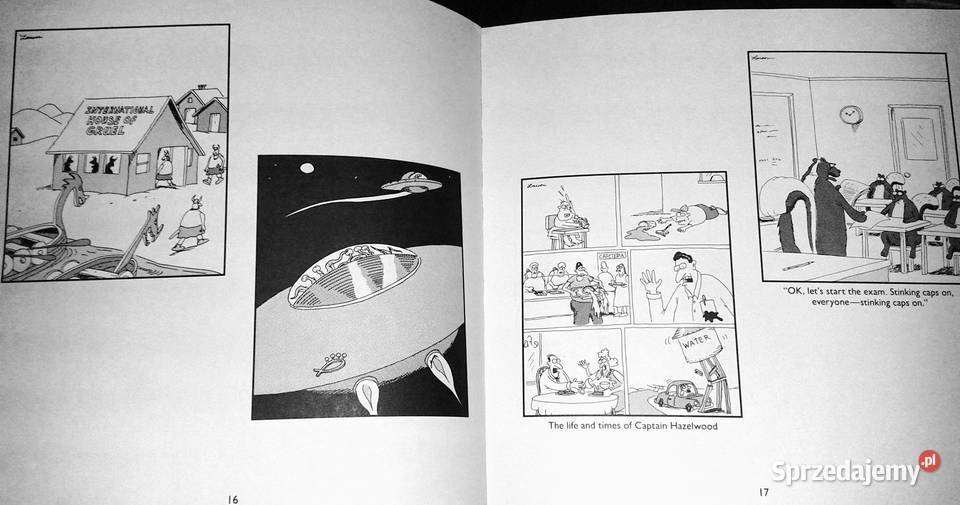 Last chapter and worse A far side collection