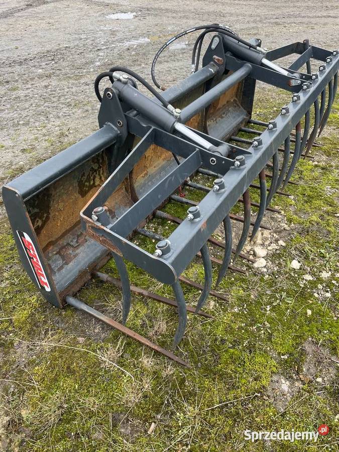 Widłykrokodyl Stoll Brzeziny