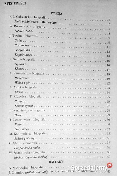Powtórka z literatury kl 6 Szkoła podstawowa Chełm
