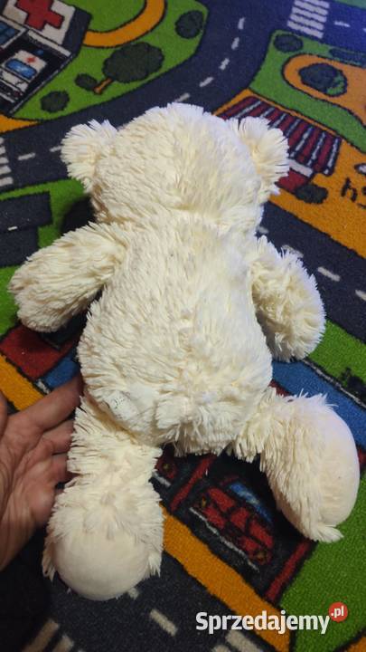 Kudłaty mis Książ Wielkopolski