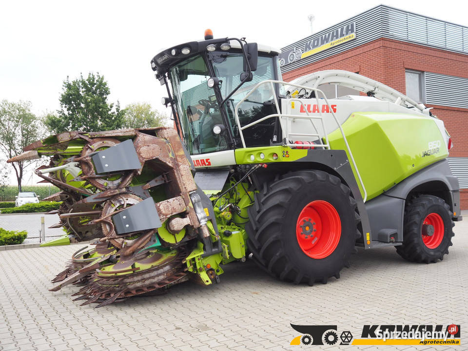 Claas Jaguar 850 4WD Orbis 600 SD Sieczkarnia Stęszew