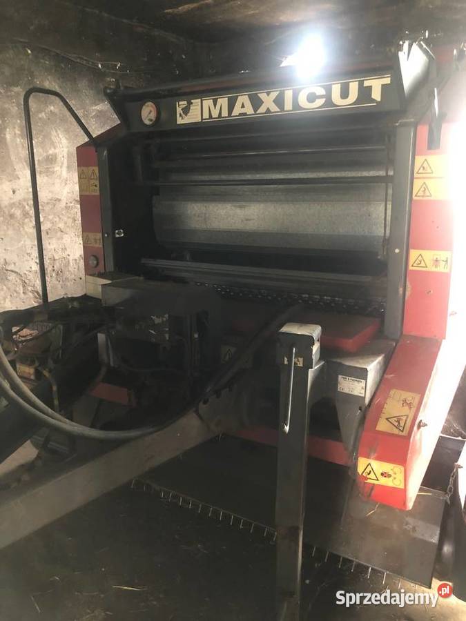 PRASA BELUJACA MAXICUT FORT F21 Milicz