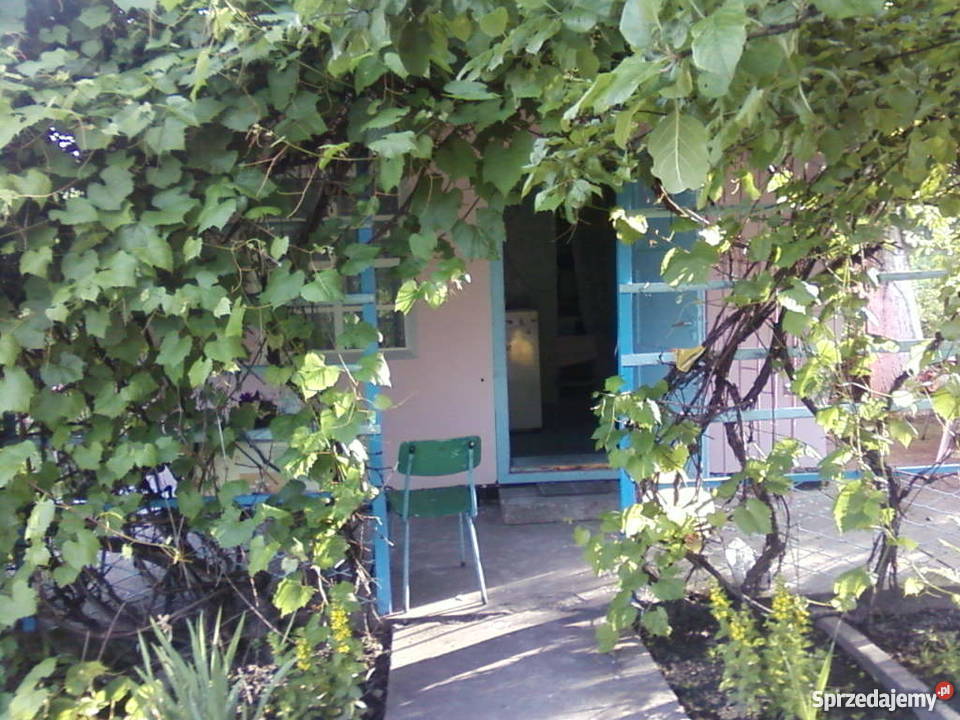 Ogródek działkowy Zabrze sprzedam