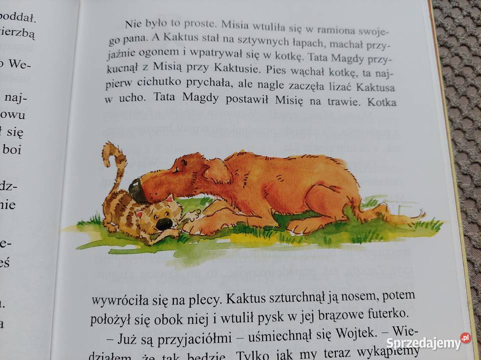 Kaktus szukaj Barbara Gawryluk