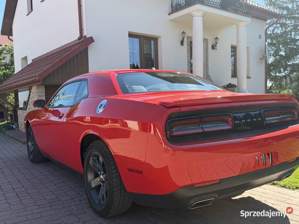 Dodge Challenger Piękny Stan V6 Sportowy / Coupe Sandomierz