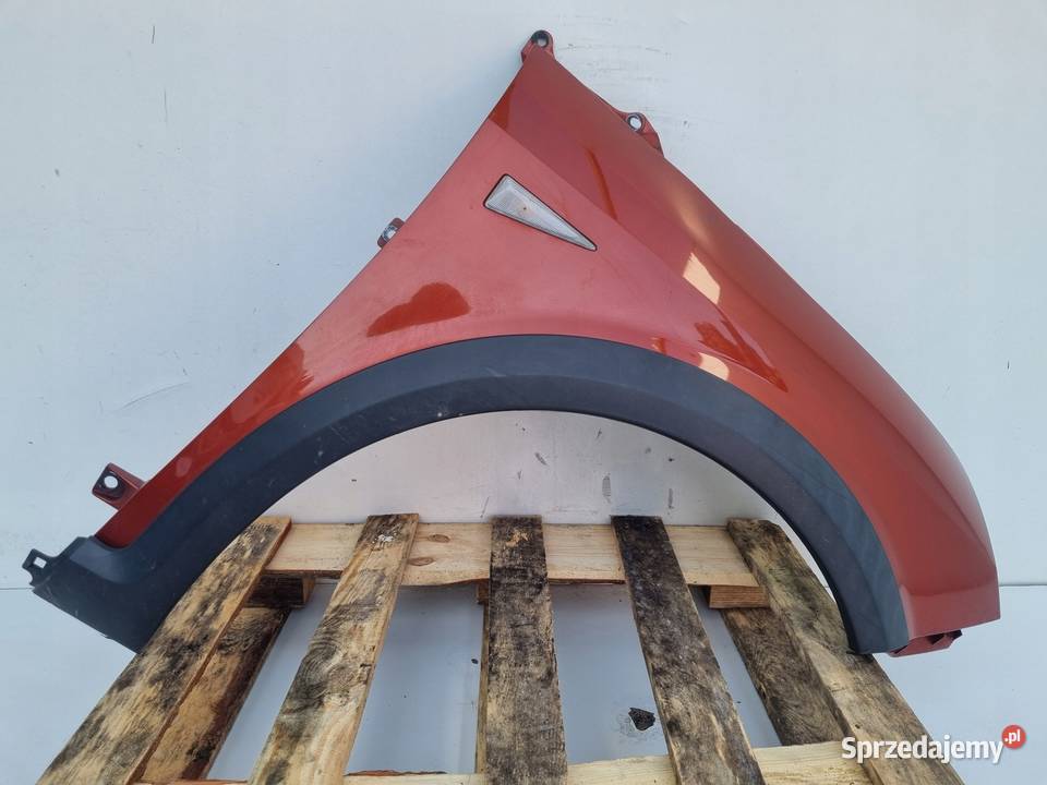 Renault Scenic II Conquest 0309r PRZEDNI BŁOTNIK Rudka