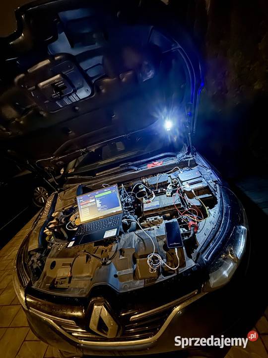 Usuwanie naprawa Adblue EGR DPF osobowe i Łódź