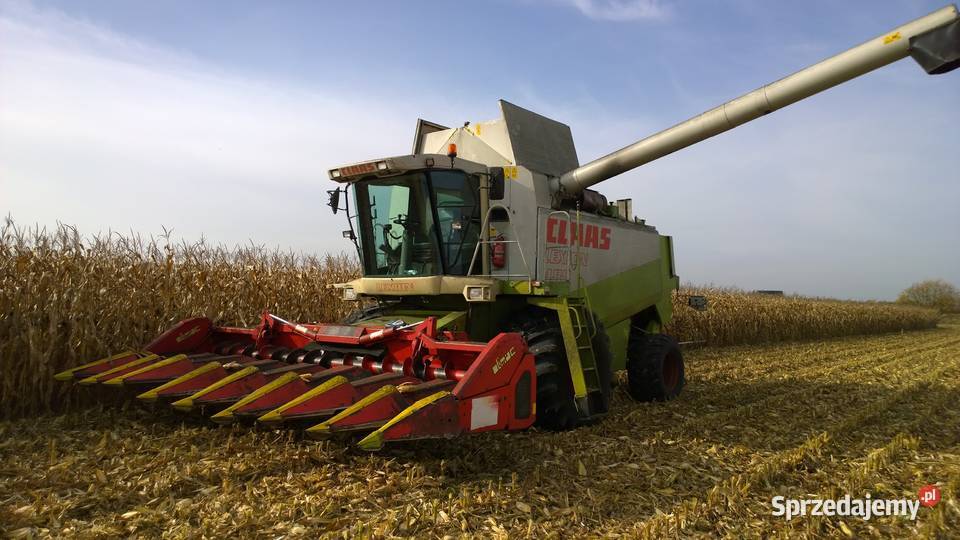 Olimac Drago 8 przystawka do kukurydzy lubelskie Planta