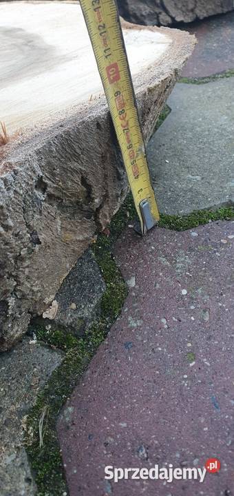 Plastry drewna orzech