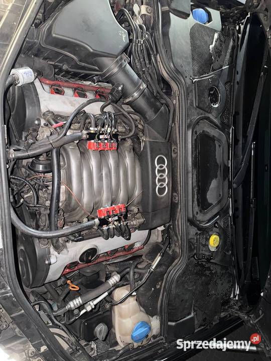 Audi a8 d3 37 mpi LPG A8 Kraśnik