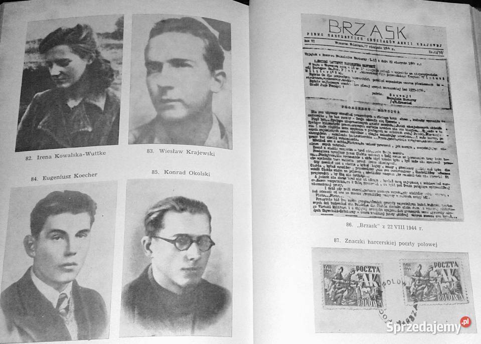 Całym życiem Szare Szeregi w relacji naczelnika twarda