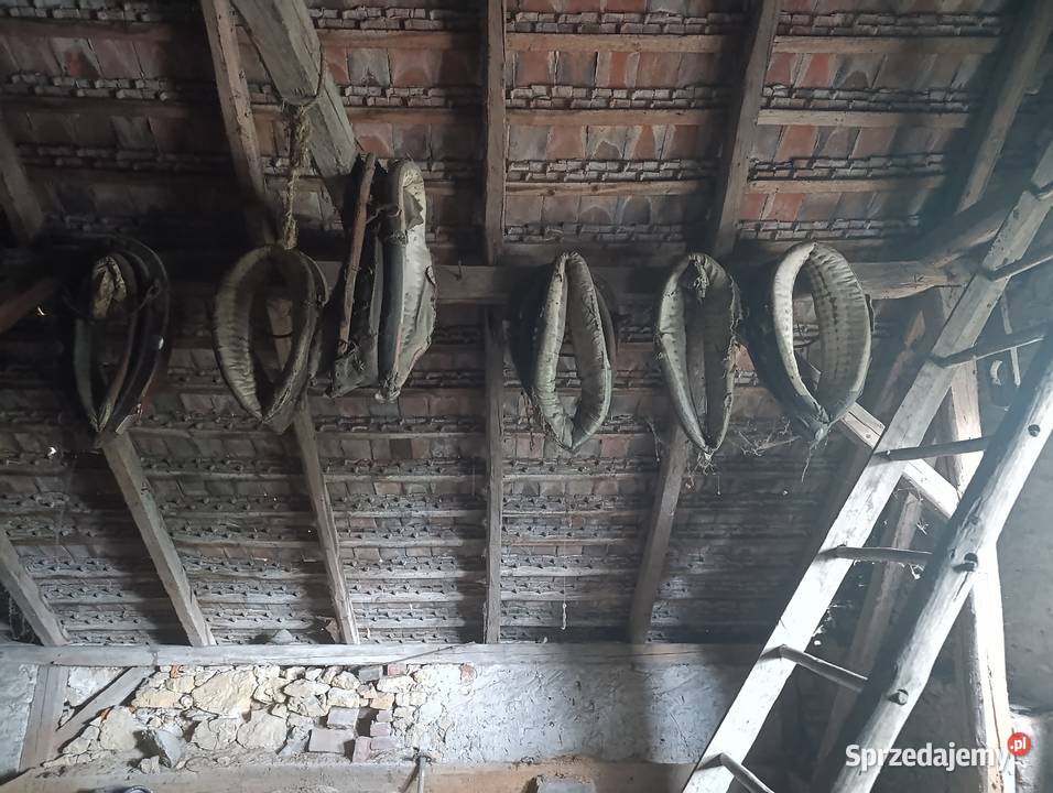 Homonto uprząż Opole sprzedam