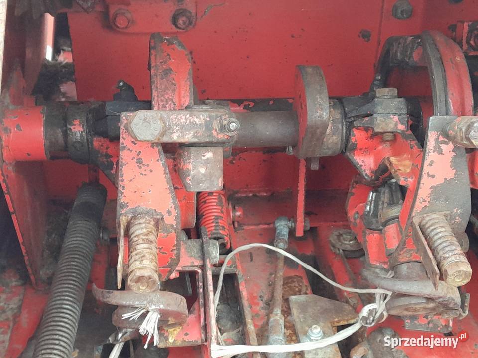 Sprzedam prase welger ap 52 sprowadzona