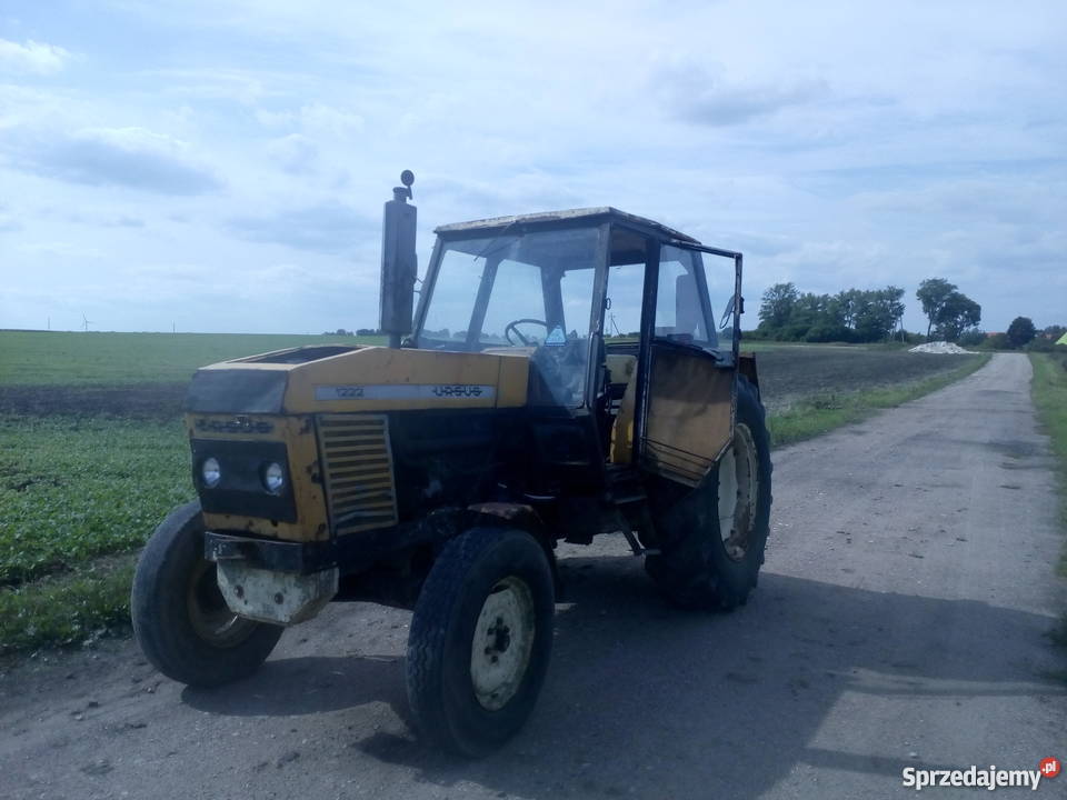 URSUS 1201 Ursus Korsze