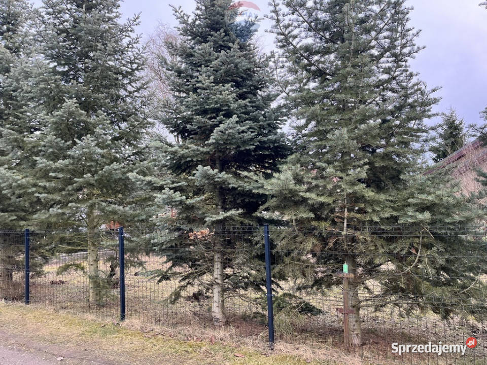 Działka ROD Bukowskiej Poznań