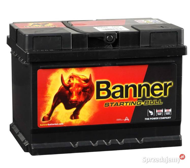 Akumulator 60Ah 480A EN Banner Starting Bull Motoryzacja