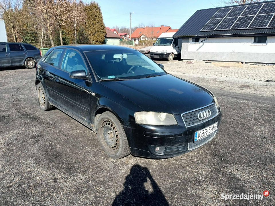 Audi A3 3drzwiowe Audi A3 19TDI 105 04r 8P Tarnów sprzedam